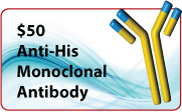 LifeTein Promotional Antibodies
