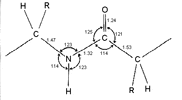 peptide structure