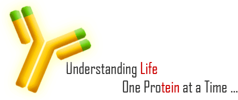 Understanding Life, one protein at a time