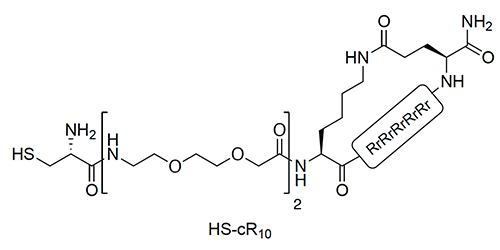 HS-cR10 Peptide Structure