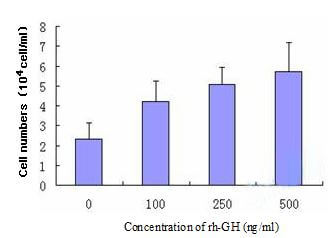 Proliferation of HUVECs stimulated by rh-GH for 48h