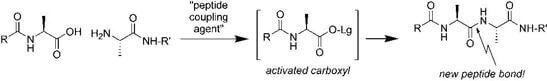 peptide bond for peptide synthesis