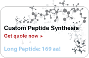 Peptide Synthesis Services