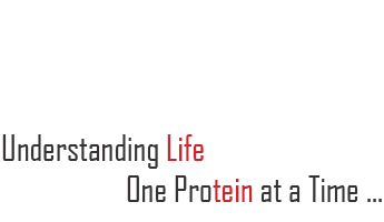 Understanding Life, one protein at a time