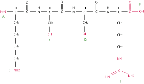 Peptide Modification on side chains
