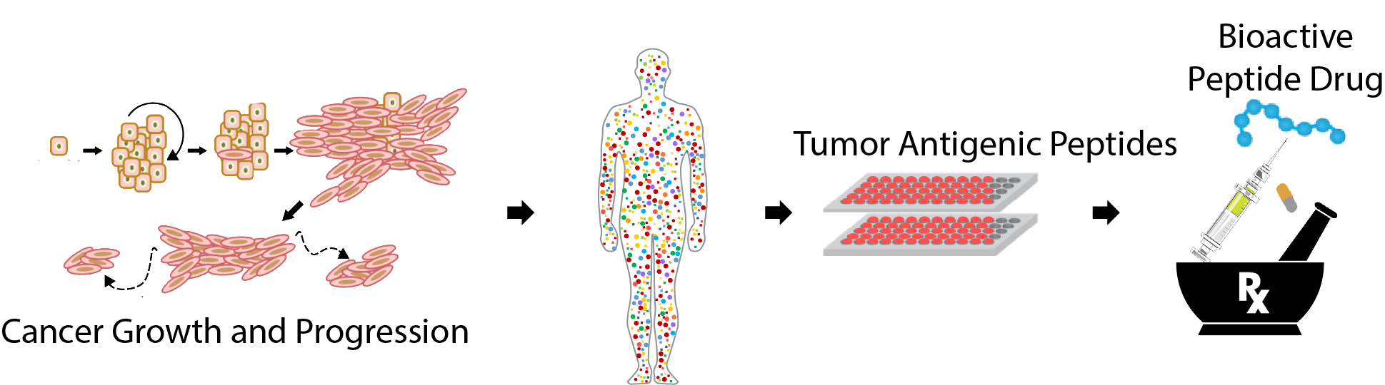 Tumor antigenic peptide