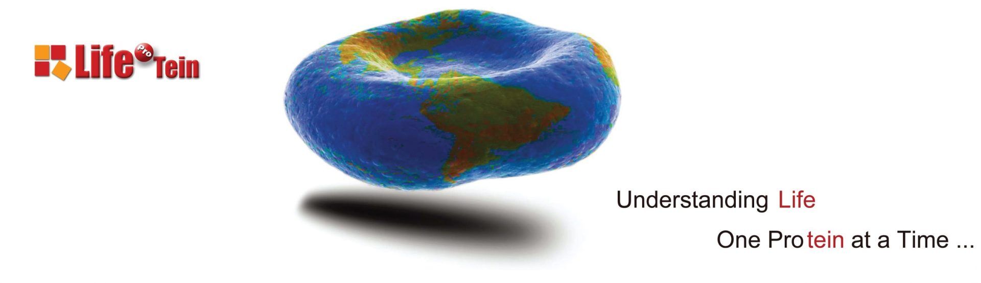 Cyclic-Peptide1 | LifeTein Peptide Blog