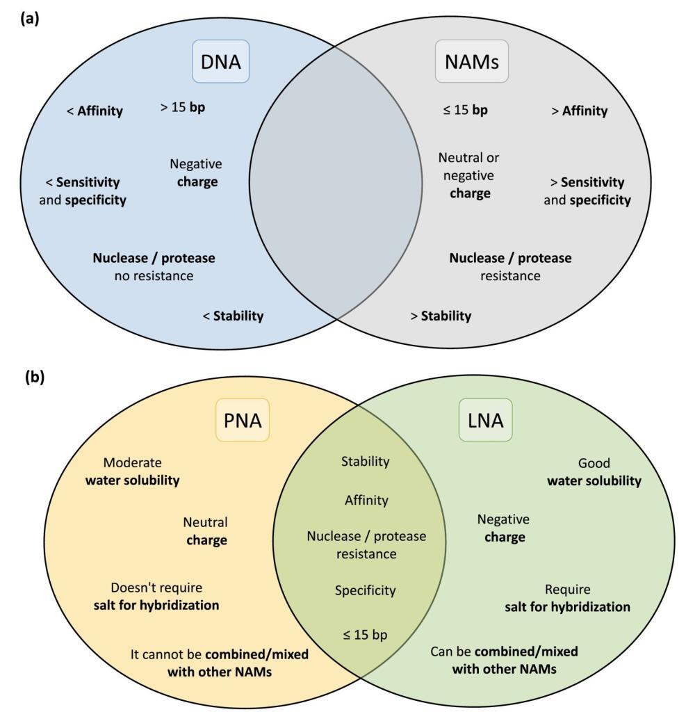 Comparison of the most important properties of DNA and NAMs probes (a) and PNA and LNA probes (b).