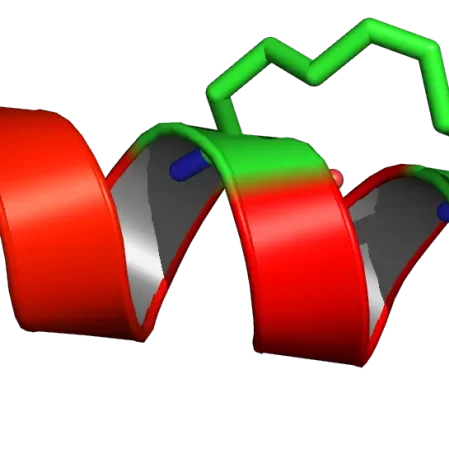 peptide storage | LifeTein Peptide Blog peptide storage | LifeTein Peptide Blog