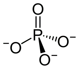 Phosphorylated peptides