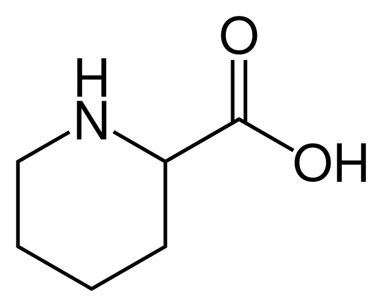 Pipecolic Acid