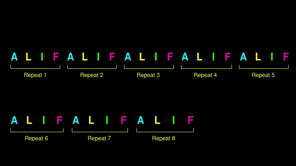 Repeats