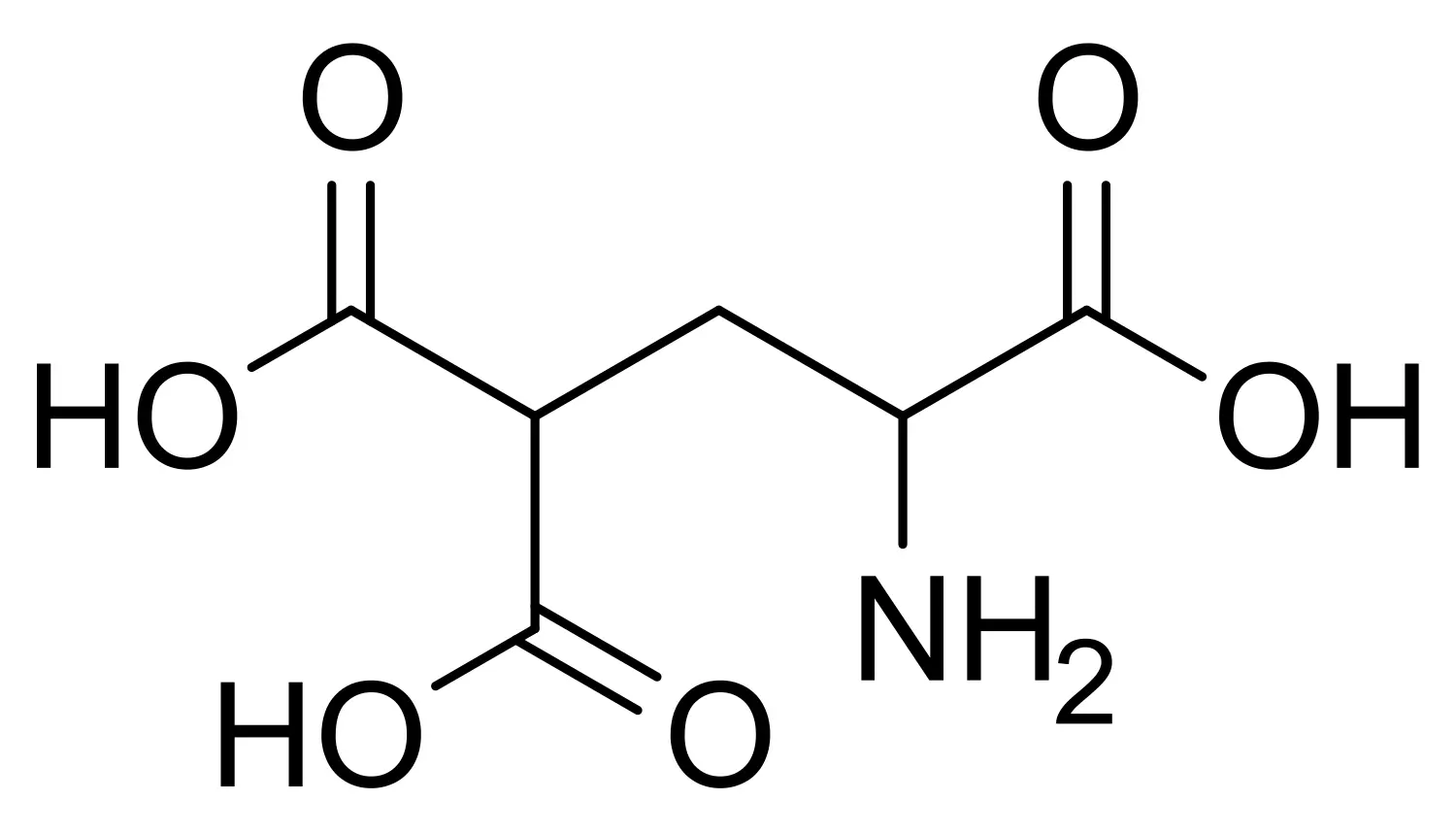Gamma-Carboxyglutamic Acid