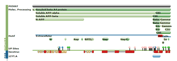 Amyloid beta A4 Protein