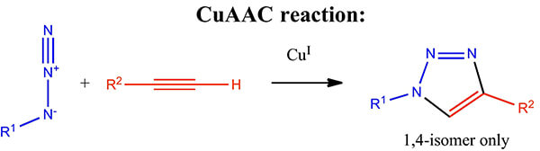 Click Chemistry: CuAAC reactions