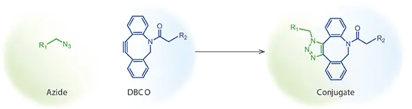 Peptide synthesis: Click Chemistry: Peptide Oligonucleotide Conjugate
