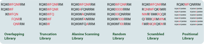 peptide library types