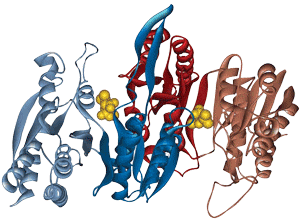 Long peptide synthesis for receptor binding