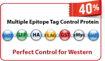 Multiple tag control protein