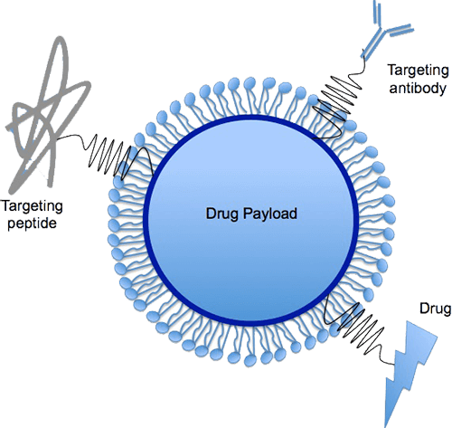 Peptide Lipid Nanoparticle LNP