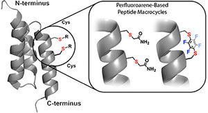 Perfluoroarene-Based peptide macrocycles