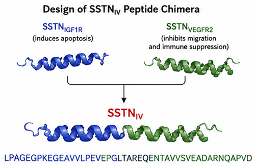 SSTNIV peptide multiple myeloma mechanism
