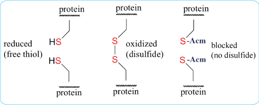 cyclic peptide synthesis with disulfide bonds