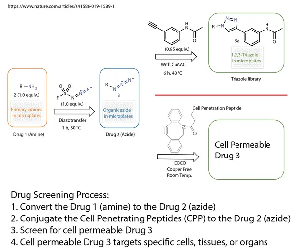 peptide oligonucleotide conjugates