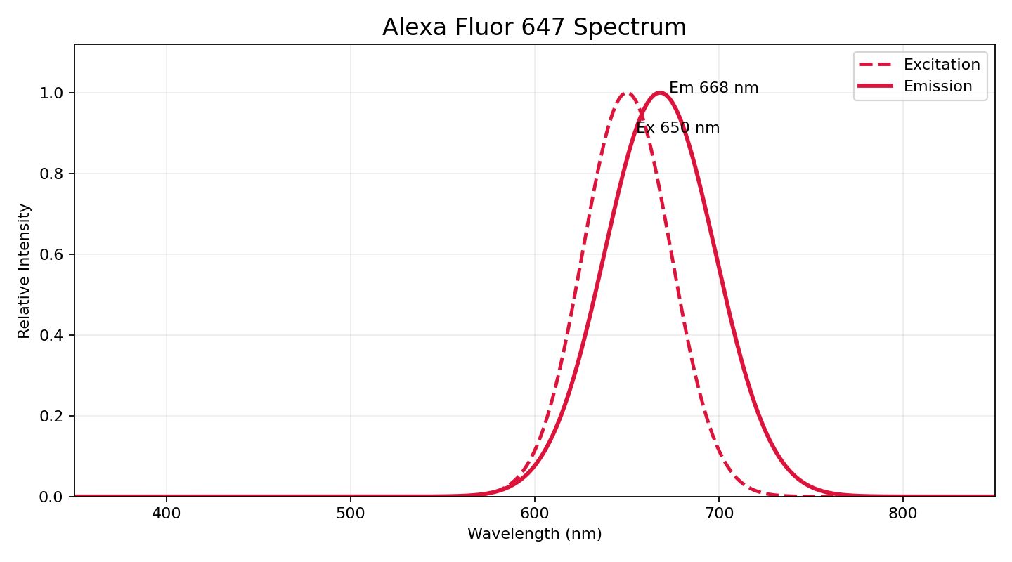 ATTO 647N excitation emission spectrum