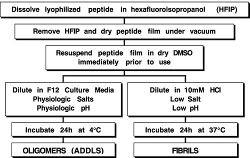 amyloid peptide