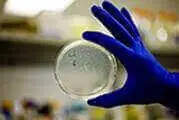 Peptide synthesis lab environment with advanced instruments