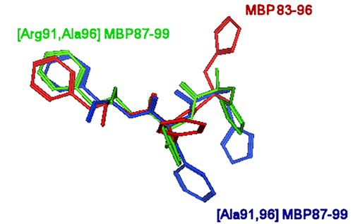 [Arg91,Ala96]-MBP (87-99), human