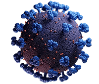 Coronavirus antibody