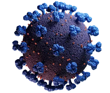 LifeTein Coronavirus antibody Coronavirus antibody