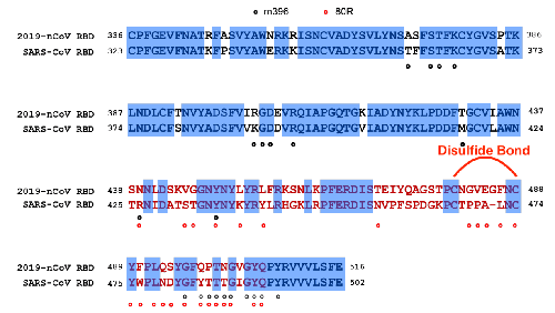 coronavirus