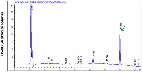 Recombinant Human Fibroblast Growth Factor-basic (rh-bFGF) Agarose Resin