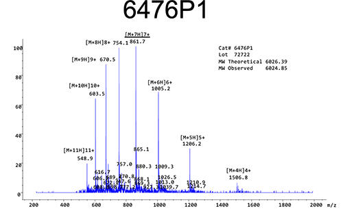 PNA Peptide Conjugate Pseudoisocytosine MASS