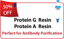 LifeTein Protein A, Protein G sepharose resin