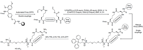 Synthetic route solid-phase peptide synthesis of HS-cR10