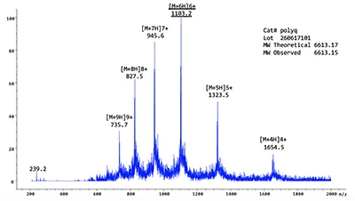 LC-MS confirmation of confidential polyQ peptide synthesized by LifeTein