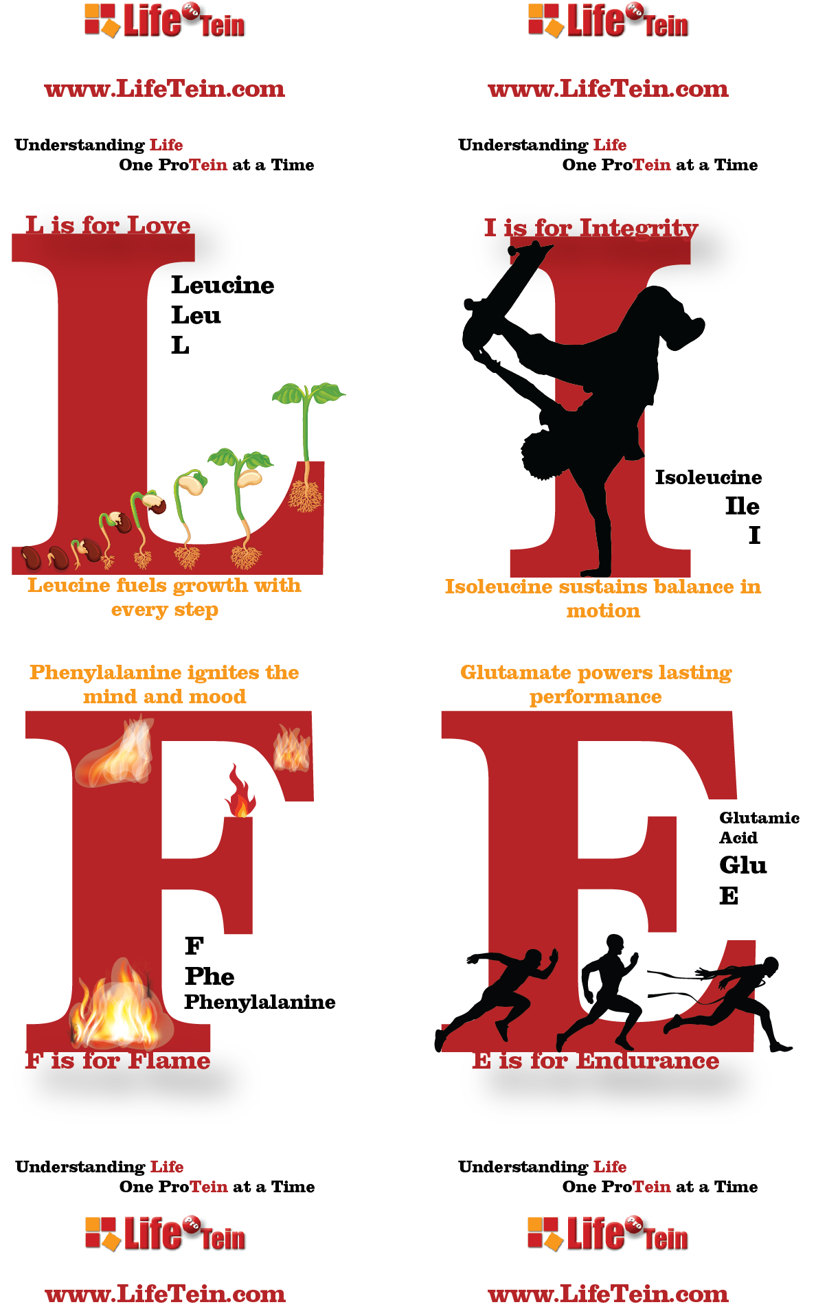 LifeTein magnet promotion life