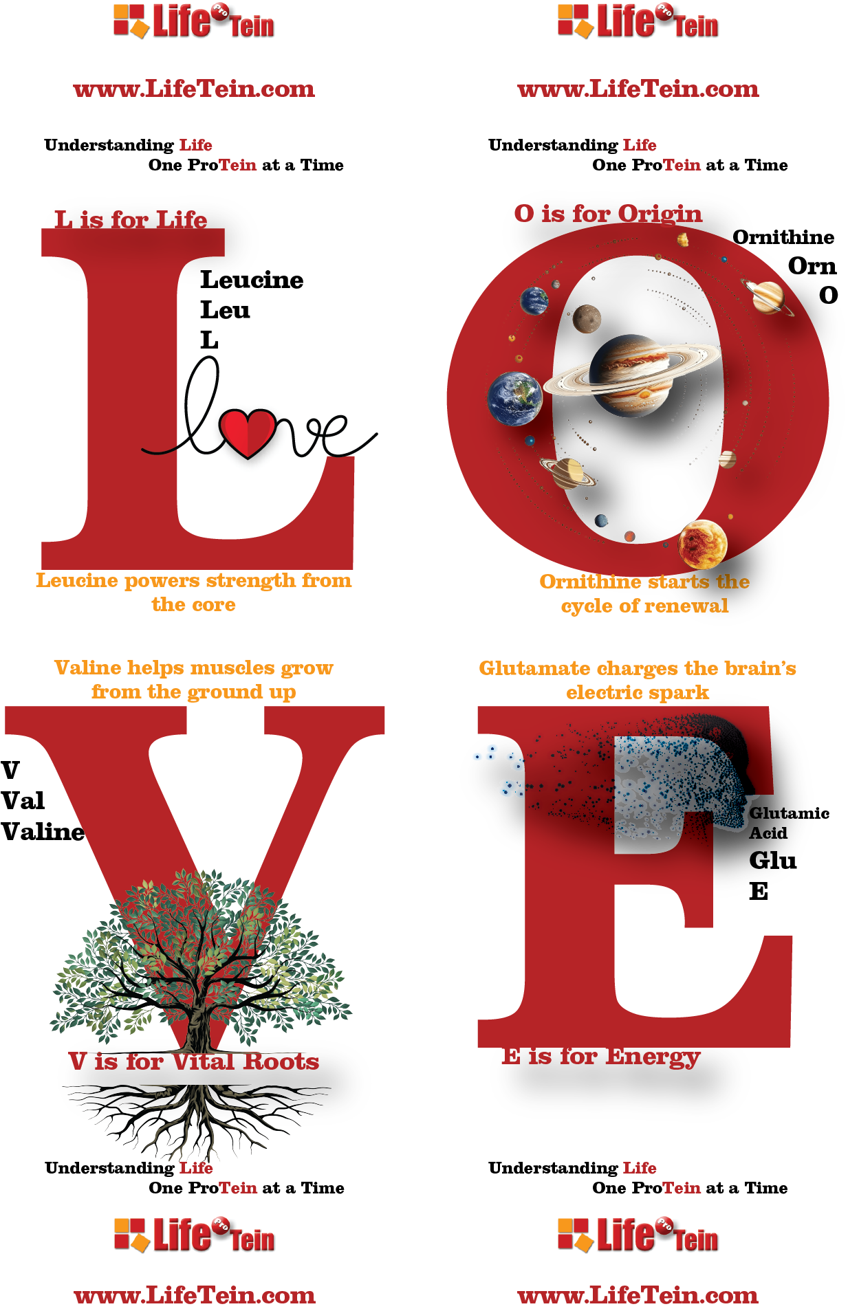 LifeTein magnet promotion love