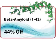 peptide promotion beta amyloid peptide