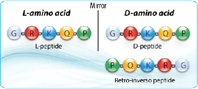 Peptide synthesis: retro inverso peptide