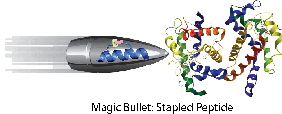 Peptide synthesis: Stapled peptide synthesis magic bullet