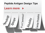 Peptide Antigen Design for Antibodies