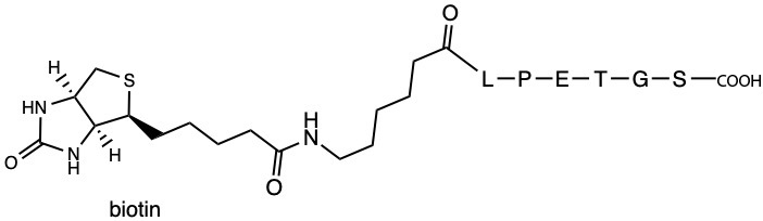 Biotin-Ahx-LPETGS-COOH