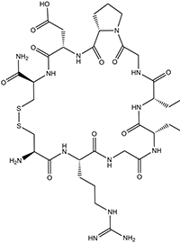cyclo-iRGD Peptide