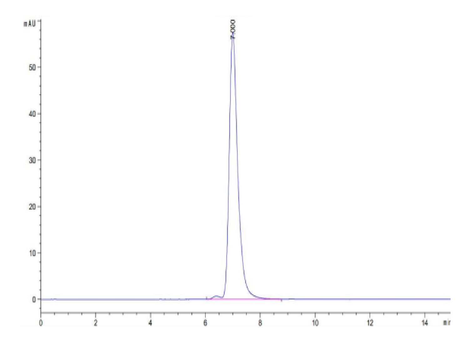 Human MART-1 (HLA-A*02:01) Tetramer Protein (LTP10027)