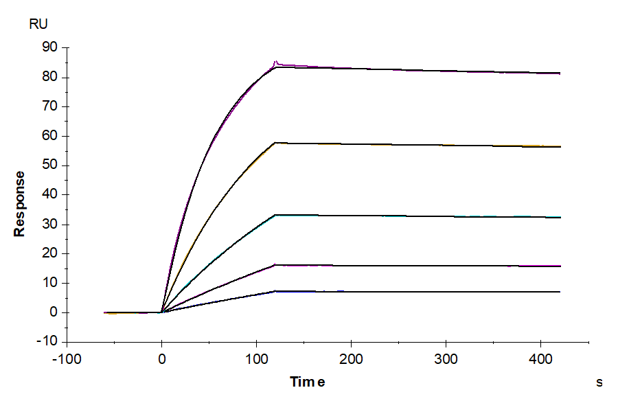 Cynomolgus TNF alpha Protein (LTP10030)